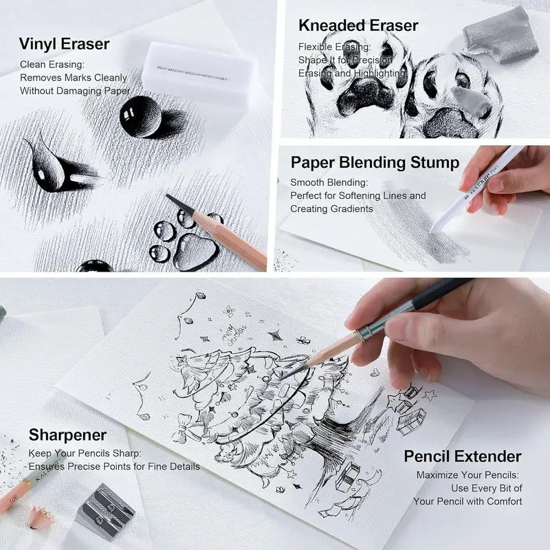 25- Professional Sketch Pencil Set with Matte and Regular Pencils - Includes Vinyl Eraser, Kneaded Eraser, Sharpener, Pencil Extender and Blending Stump - Ideal for Artists and Beginners