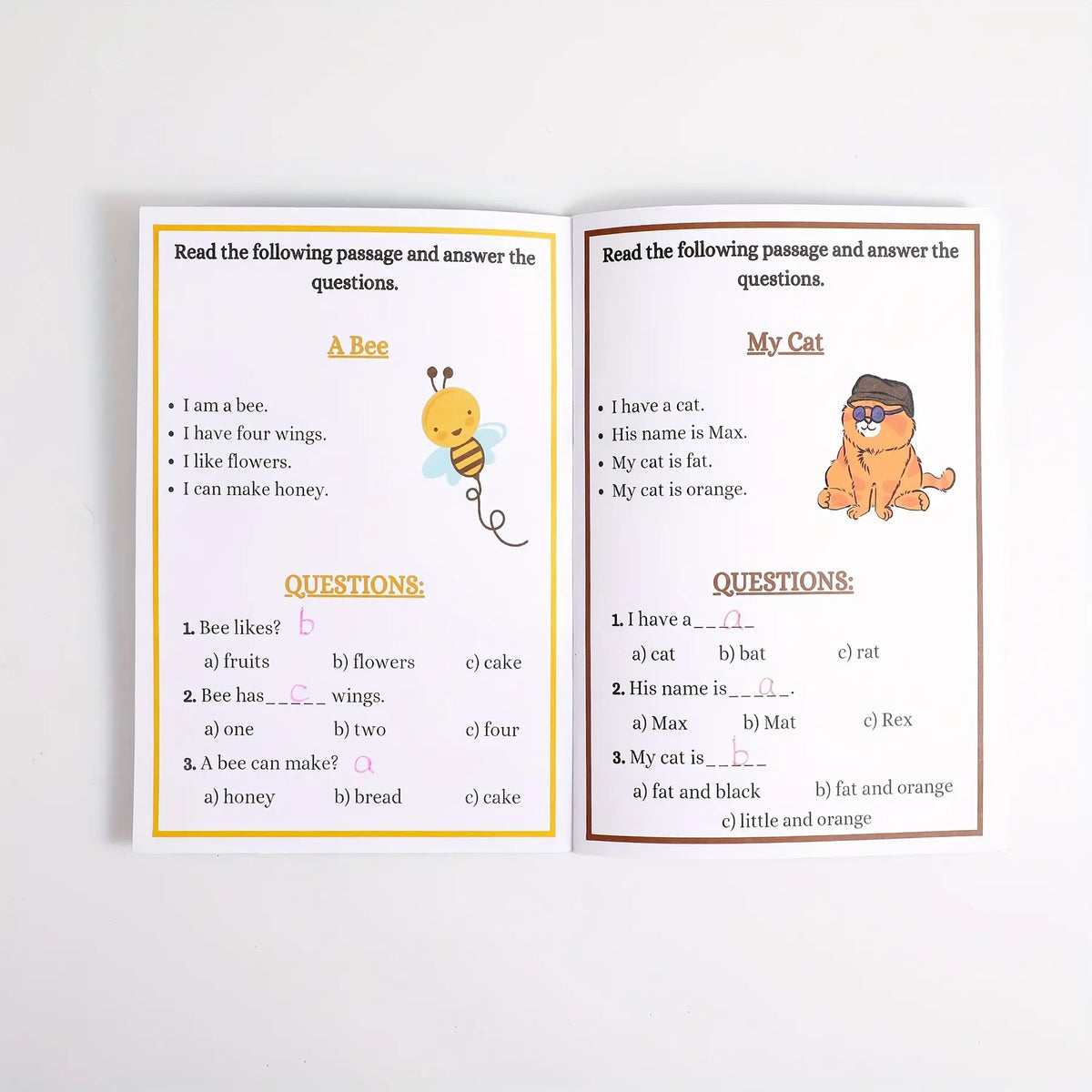 Reading Comprehension Workbook, Fun Stories & Activities, Enhance Literacy, Writing, Critical Thinking, Back-To-School Gift, Preschool Learning Materials, School Supplies, Study Materials