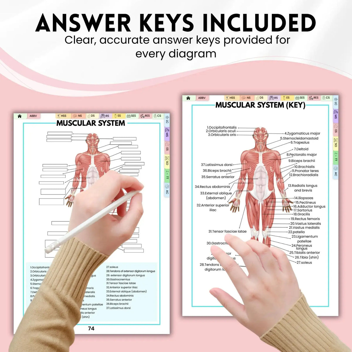 Human Anatomy Annotation Practice Book: Anatomical Learning Guide For Nursing Students College Essentials Learning Materials