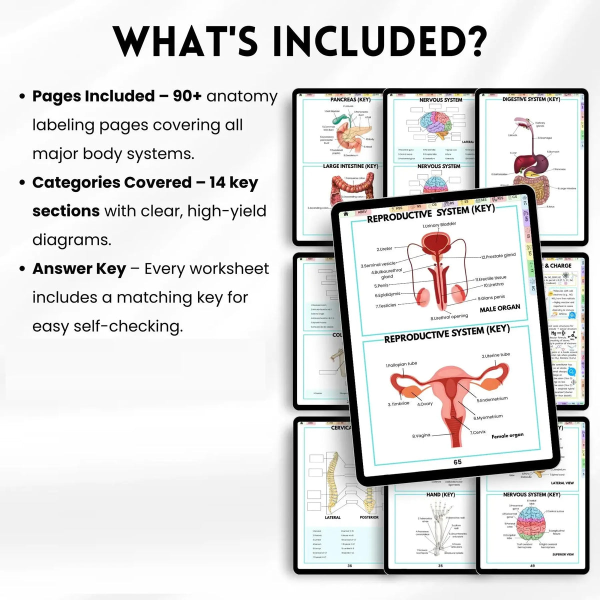Human Anatomy Annotation Practice Book: Anatomical Learning Guide For Nursing Students College Essentials Learning Materials