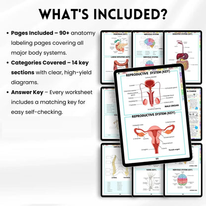 Human Anatomy Annotation Practice Book: Anatomical Learning Guide For Nursing Students College Essentials Learning Materials