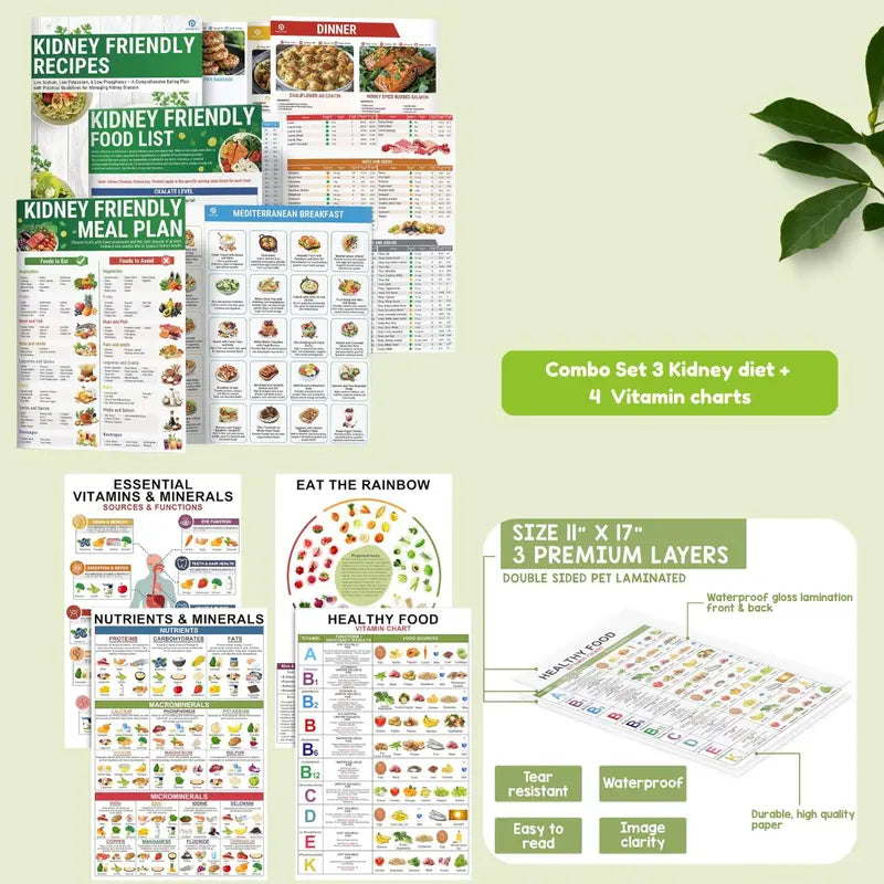 [Releasing Price] Set 6 Kidney Friendly Food List and Recipes Chart, Renal Diet Disease Meal Plan, Kidney Recipes Support, Hyperoxaluria, Oxalate Level, Low Sodium Potassium Phosphorus for CKD Dialysis, Manage Hypertension