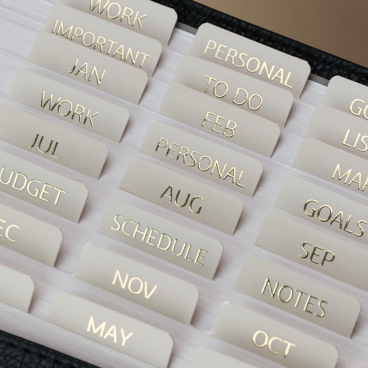 UPAFEXXI-Laminated Planner Monthly Tabs, 72 Stickers in Total