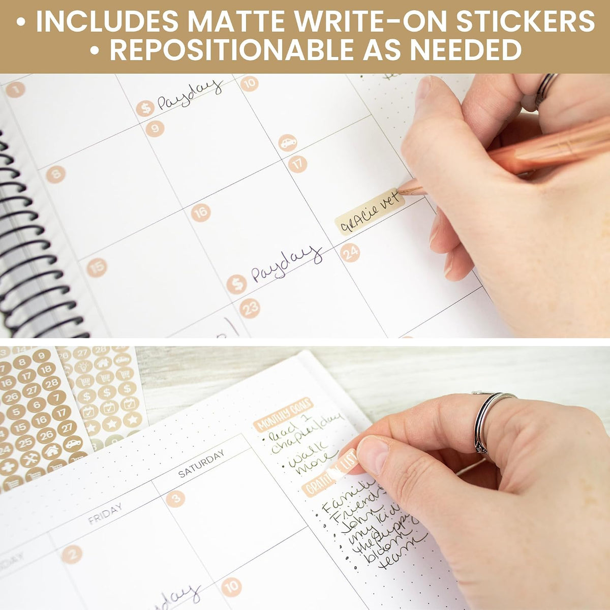 bloom daily planners Muted Neutrals Calendar Essentials Planner Stickers - 8 Sheets, 1629 Stickers Per Pack! - Color Coordinating Monthly Headings, Dates, Icons, Etc. - Aesthetic Boho
