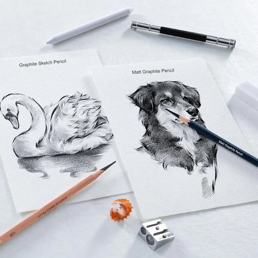 25- Professional Sketch Pencil Set with Matte and Regular Pencils - Includes Vinyl Eraser, Kneaded Eraser, Sharpener, Pencil Extender and Blending Stump - Ideal for Artists and Beginners