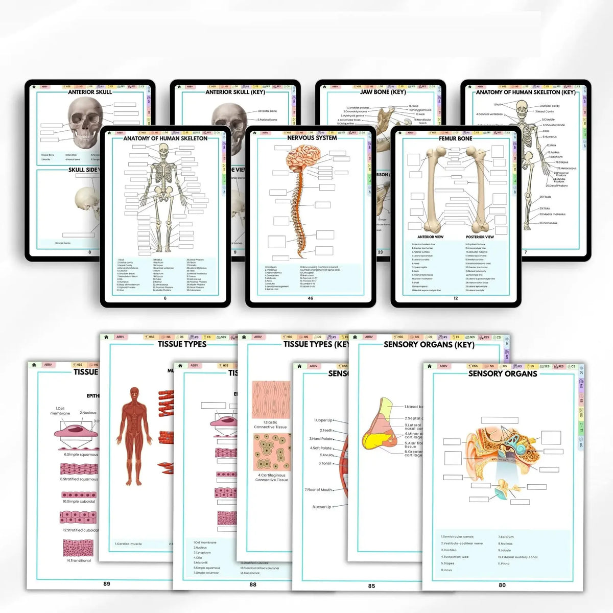 Human Anatomy Annotation Practice Book: Anatomical Learning Guide For Nursing Students College Essentials Learning Materials