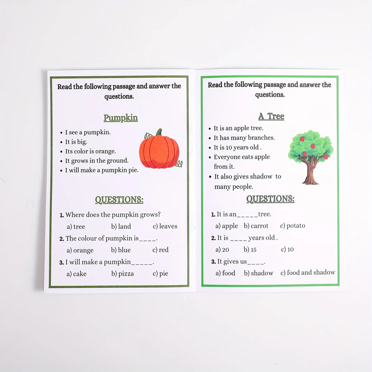 Reading Comprehension Workbook, Fun Stories & Activities, Enhance Literacy, Writing, Critical Thinking, Back-To-School Gift, Preschool Learning Materials, School Supplies, Study Materials